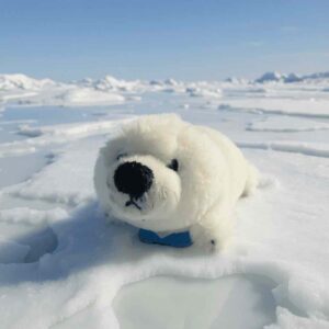 Peluche Phoque Blanc 18 cm